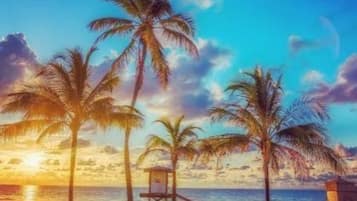 Plage, cabines (en supplément), serviettes de plage, 6 bars de plage