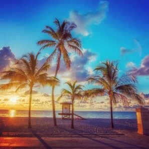 على الشاطئ، كبائن على الشاطئ، مناشف للشاطئ، 6 من البارات على الشاطئ