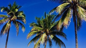 On the beach, beach cabanas, beach towels