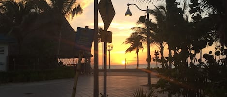 A sunset view with palm trees, a pedestrian crossing sign, and street lamps.