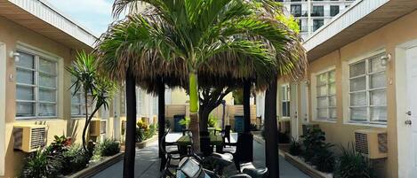 A courtyard with a palm tree, two bicycles, and a building with multiple windows in the background.