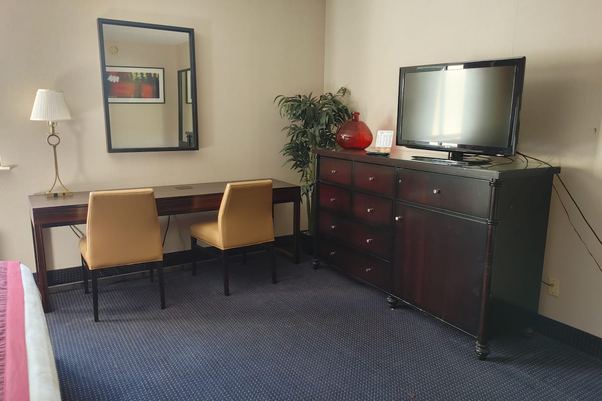A hotel room with a desk, two chairs, a dresser, a television, a mirror, and a plant.