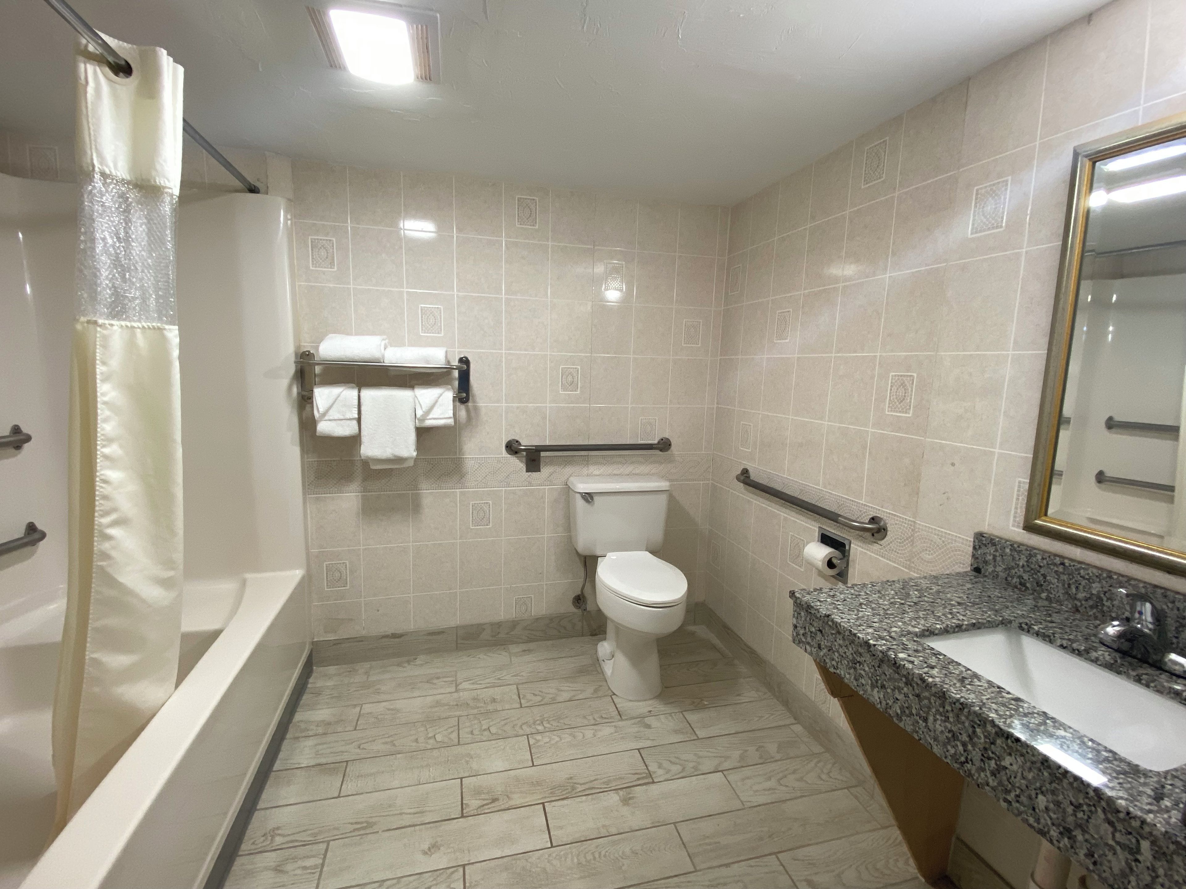 A bathroom with a toilet, a sink, a shower, and a handrail.