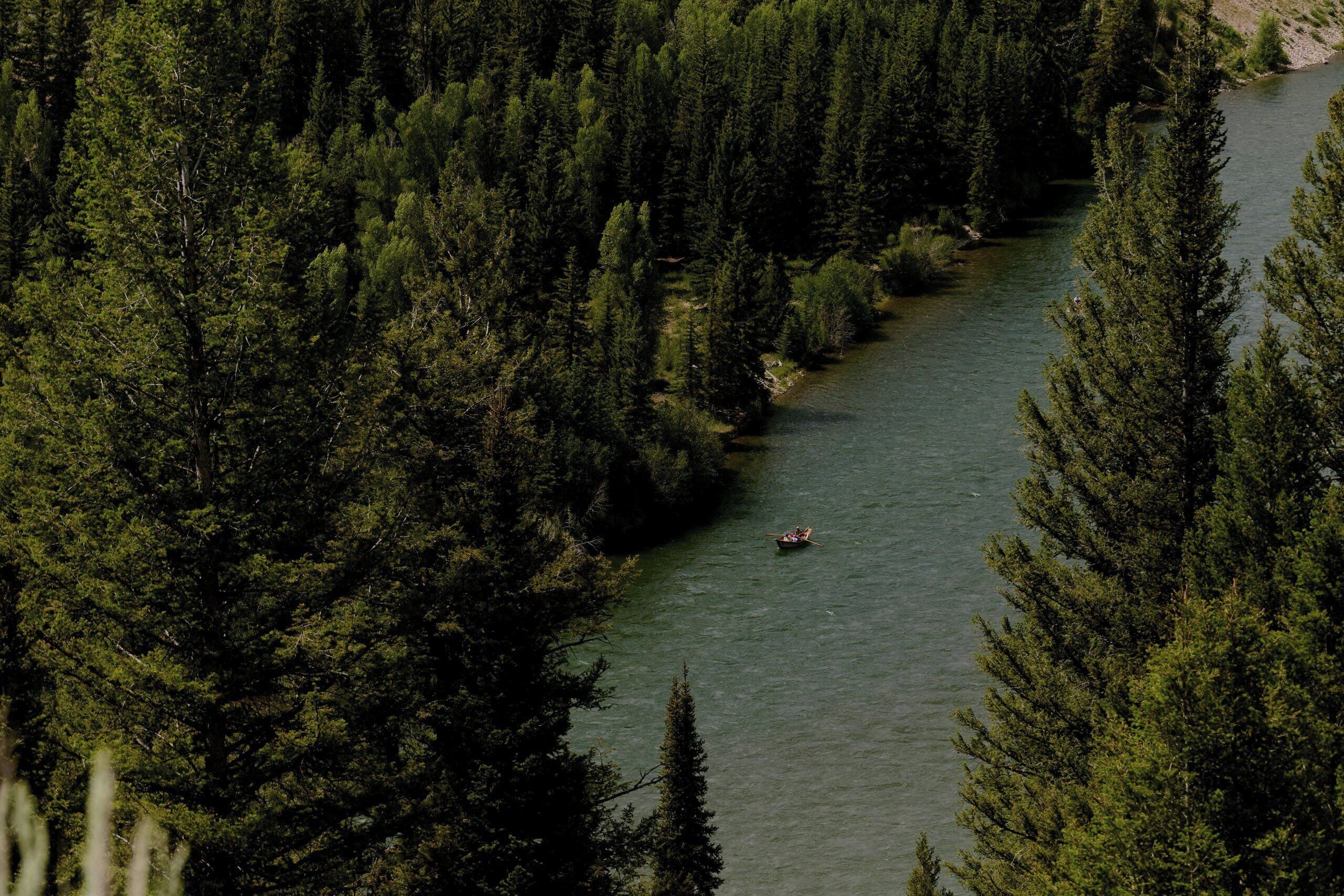 Un río rodeado de bosque denso.