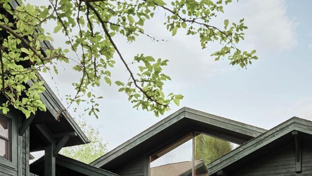 A multi-level wooden house with outdoor seating and hanging planters. - The Alpine House (Jackson)