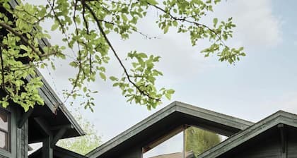 The Alpine House