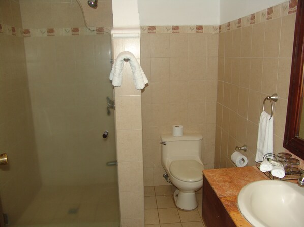 Une salle de bain avec douche, toilettes et lavabo.