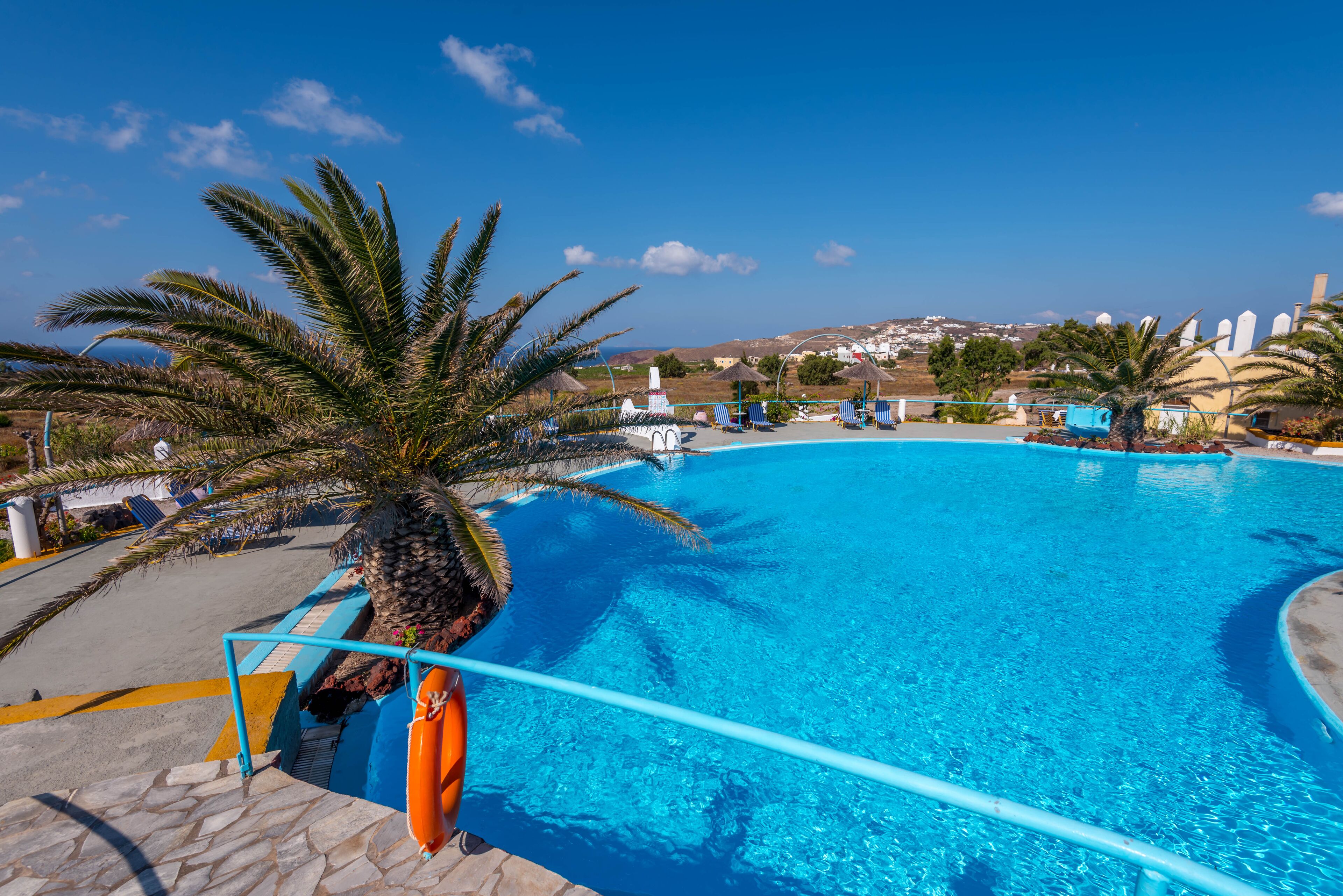 A clear blue pool with a palm tree, a lifebuoy, and a view of the landscape.