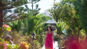 A pathway lined with tropical plants and a person in a pink dress walking towards a building. - Aelia by Eltheon (Santorini)