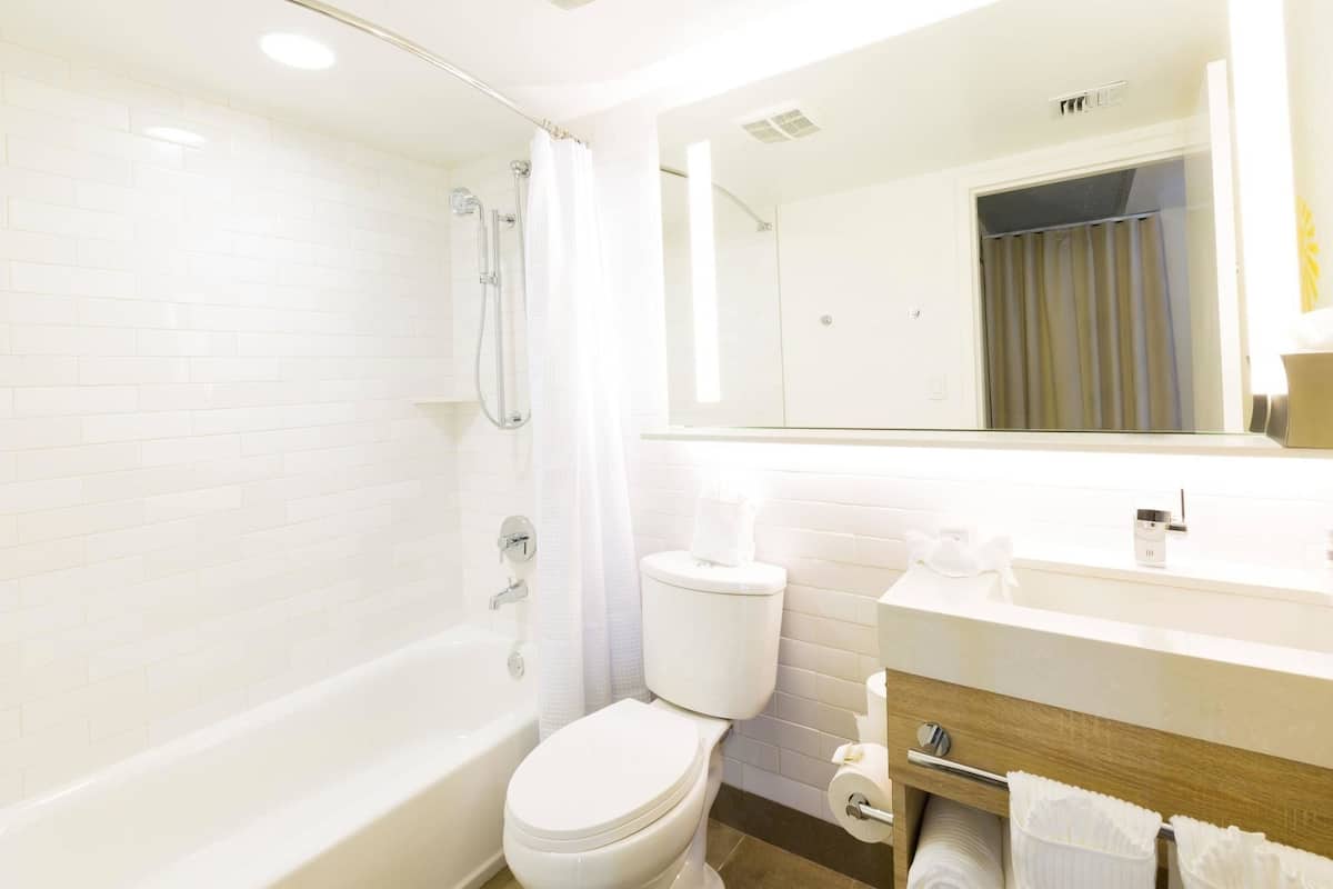 combined shower/bathtub, free toiletries, hair dryer, towels