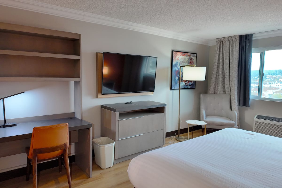 Deluxe Single Room | 1 bedroom, in-room safe, individually furnished, desk