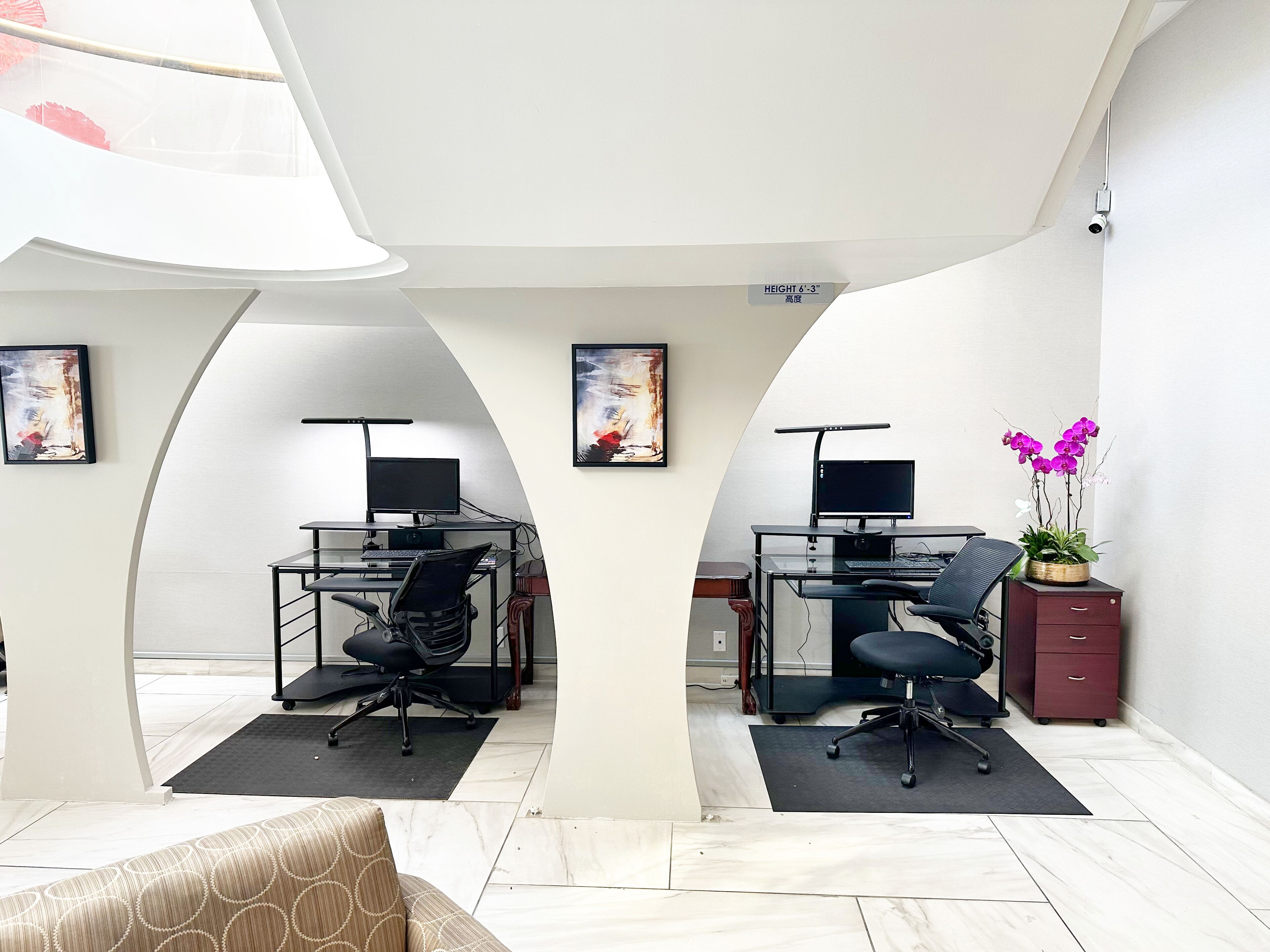 A modern office space with two desks, ergonomic chairs, and a potted plant.