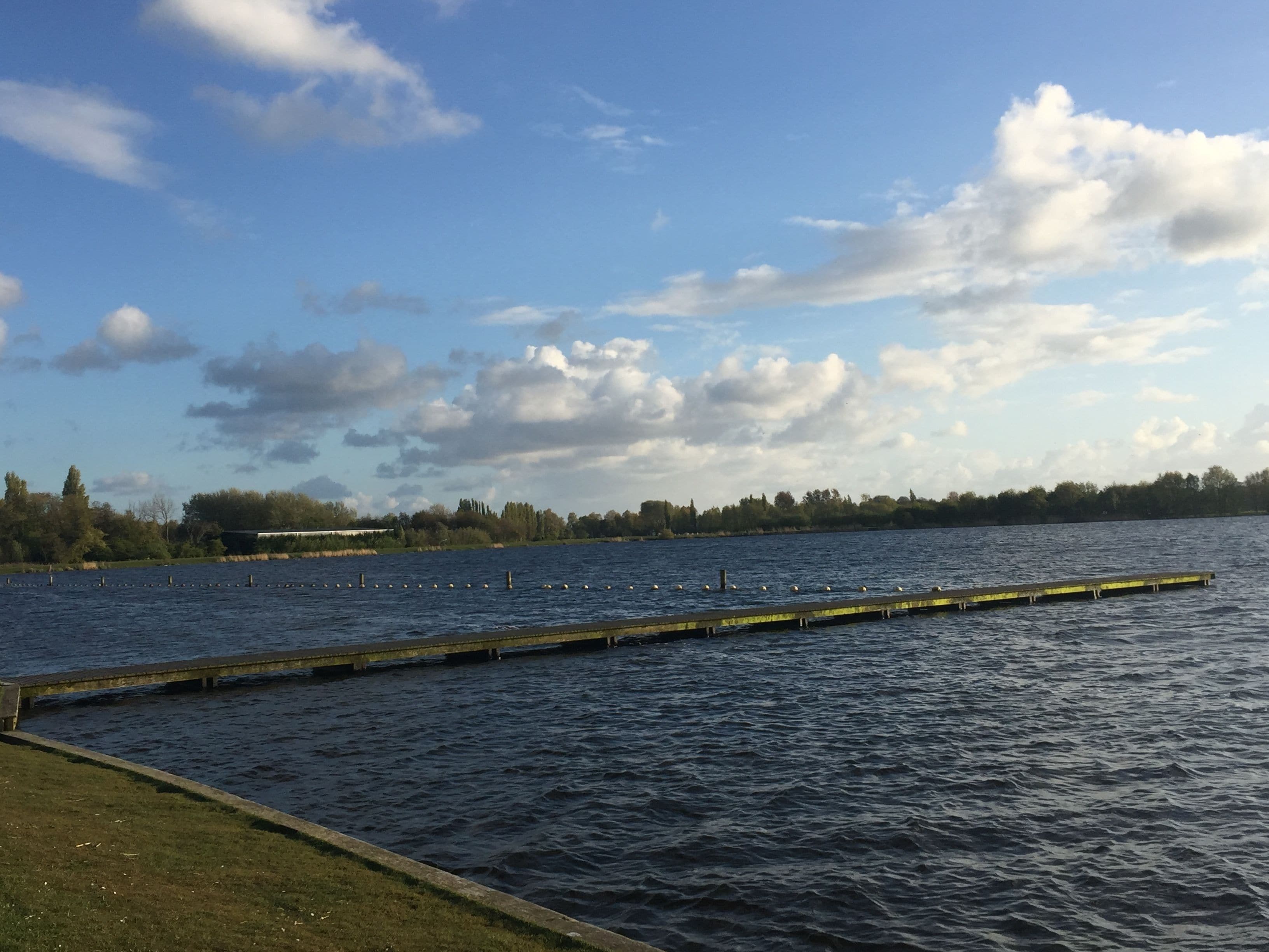 A calm lake with a wooden dock extending into the water, surrounded by grassy banks and trees in the background.