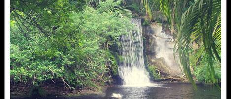 Une cascade au cœur d’un jardin luxuriant.