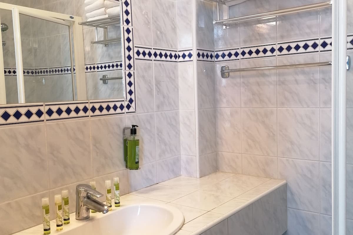 shower, free toiletries, hair dryer, towels