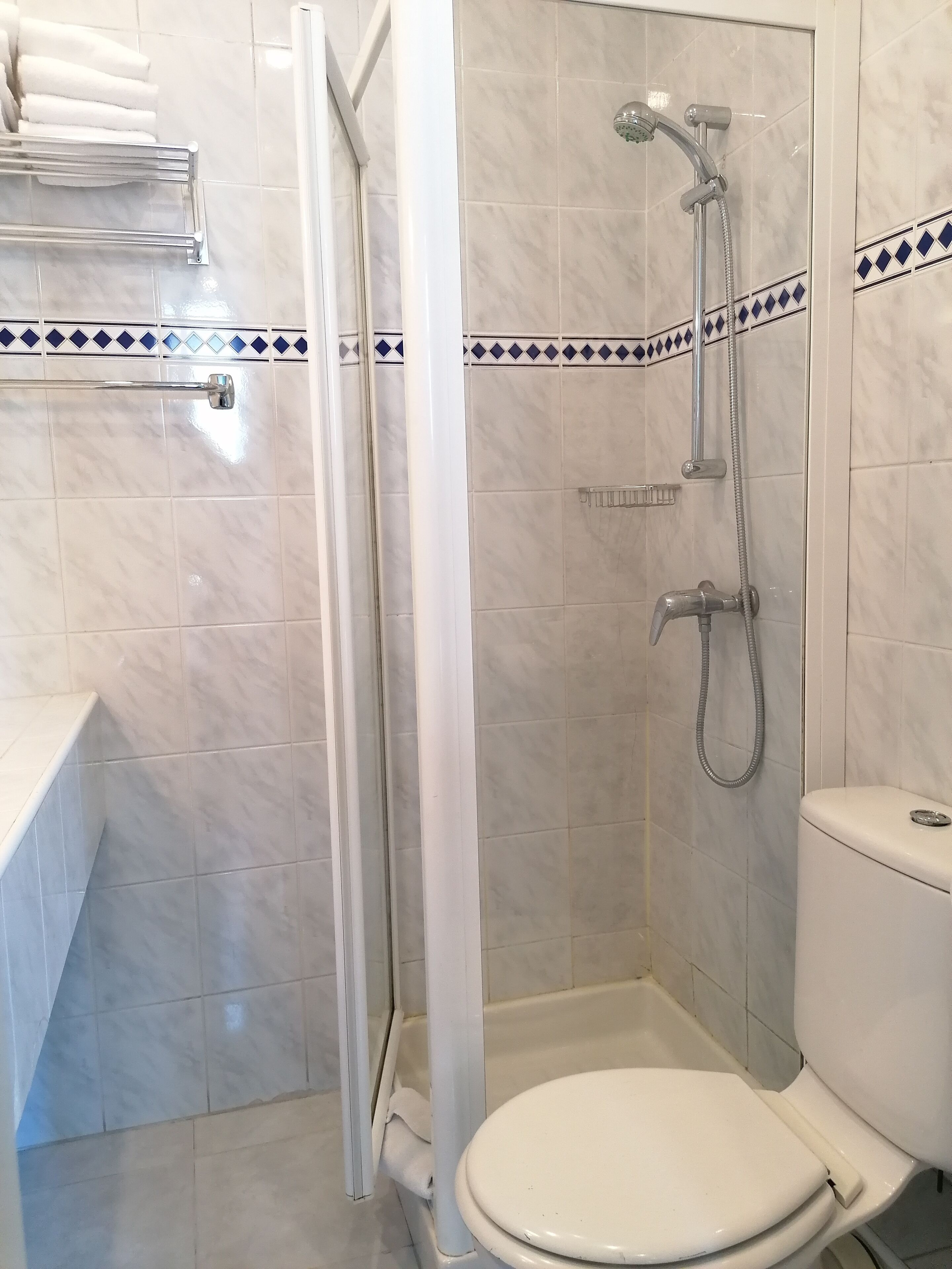 Une salle de bain avec une douche, des toilettes et un porte-serviettes.