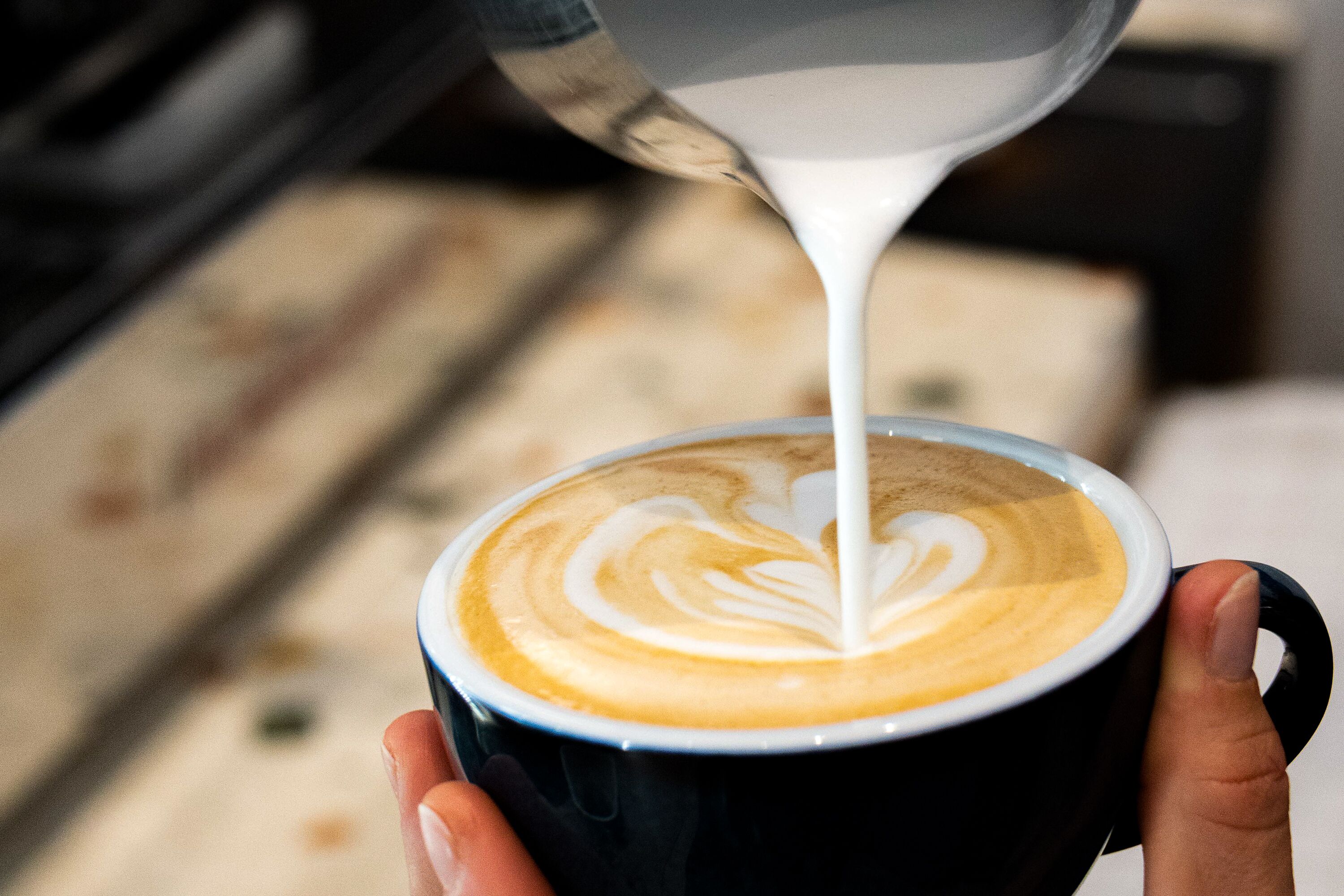 Photo - Hôtel Du Centre, un hôtel AMMI