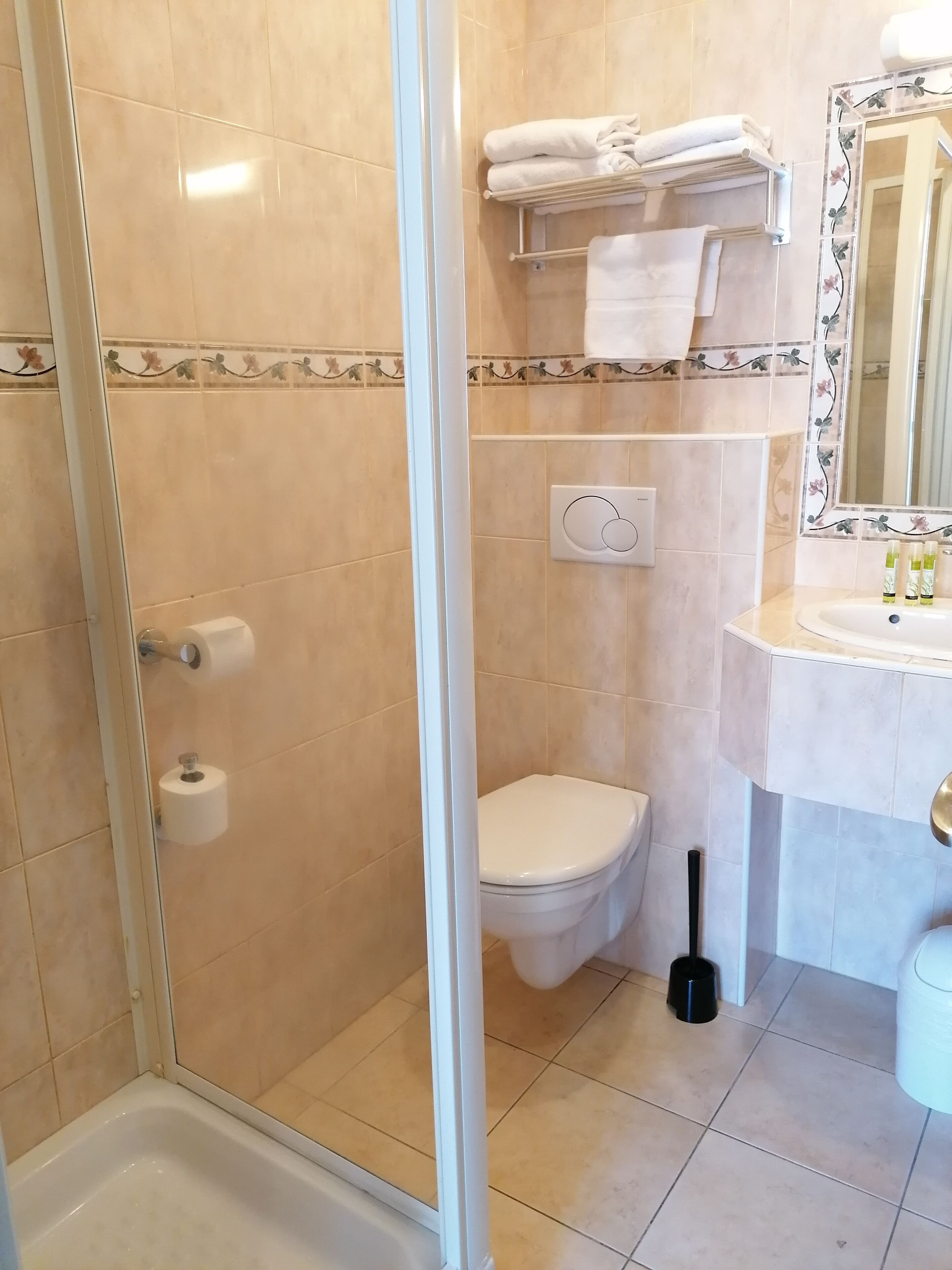 A bathroom with a glass shower enclosure, a toilet, a sink with toiletries, and a mirror with floral tiles.