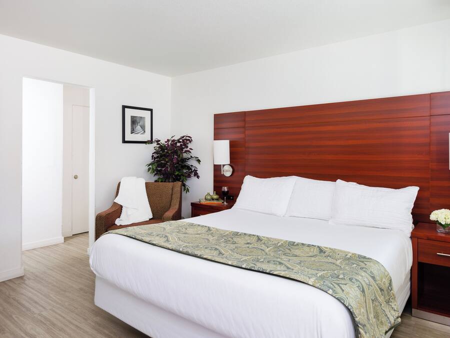 King | In-room safe, desk, laptop workspace, blackout curtains