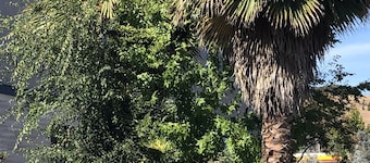 Diablo Mountain Inn - Walnut Creek