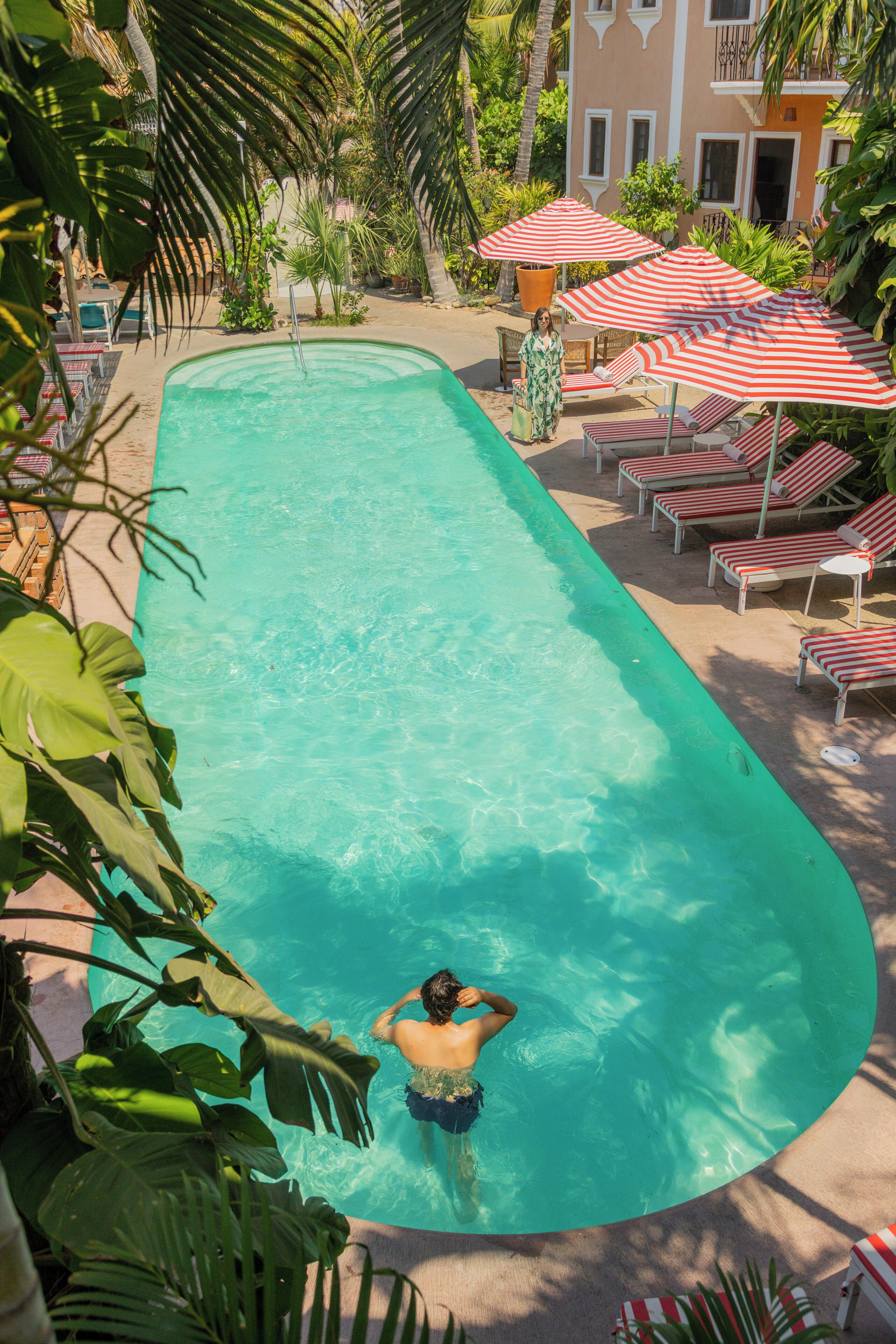 Una piscina con sillas de descanso y sombrillas, rodeada de plantas tropicales.