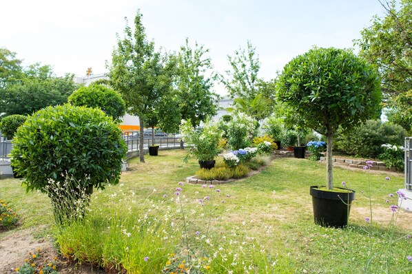 A well-maintained garden with various trees and flowering plants.