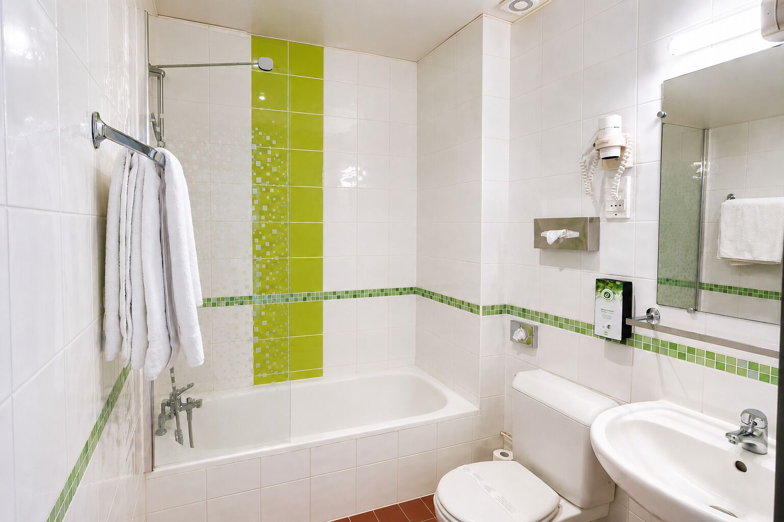 Eco-friendly toiletries, hair dryer, towels