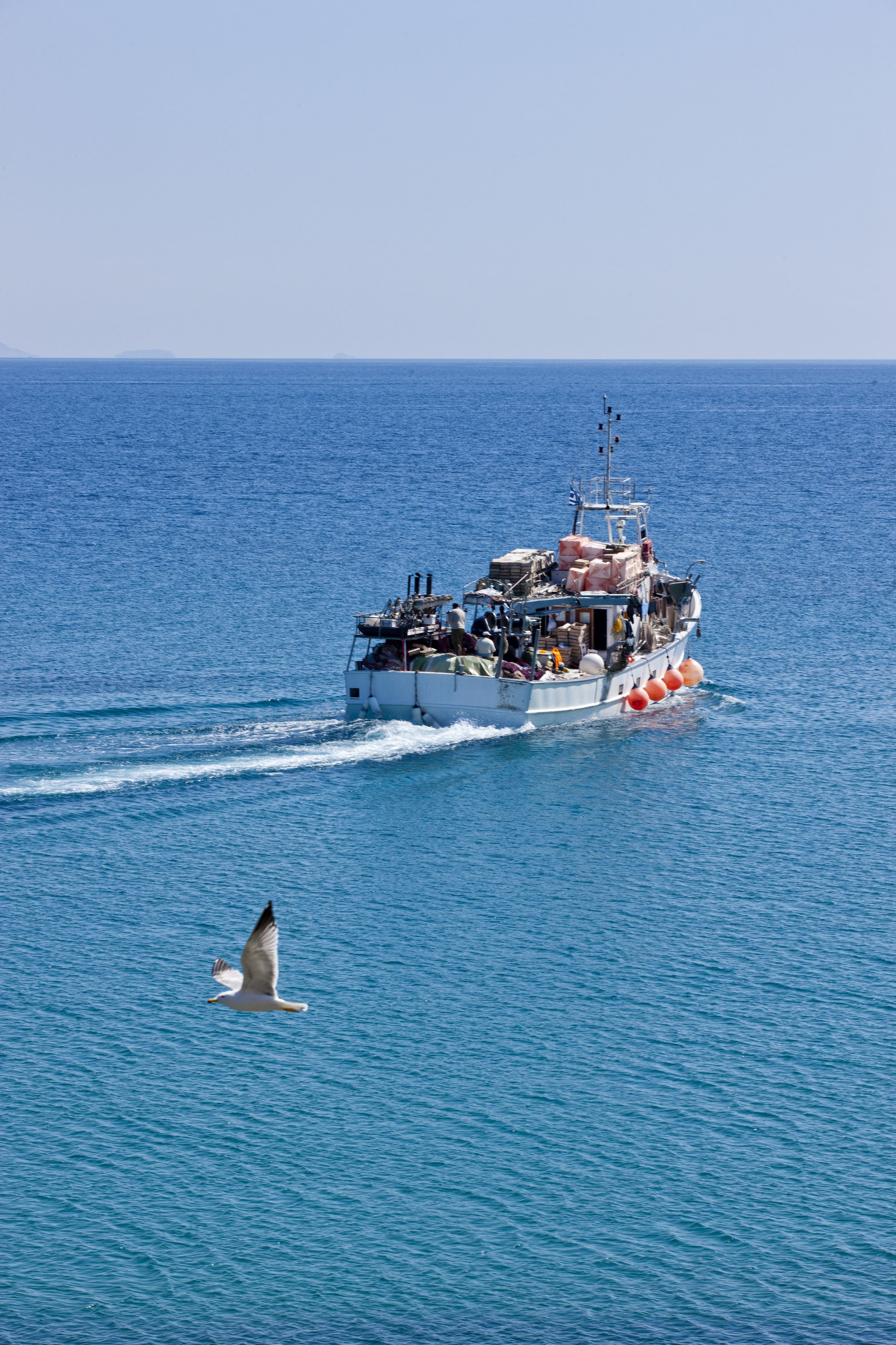 Photo - Mr and Mrs White Paros