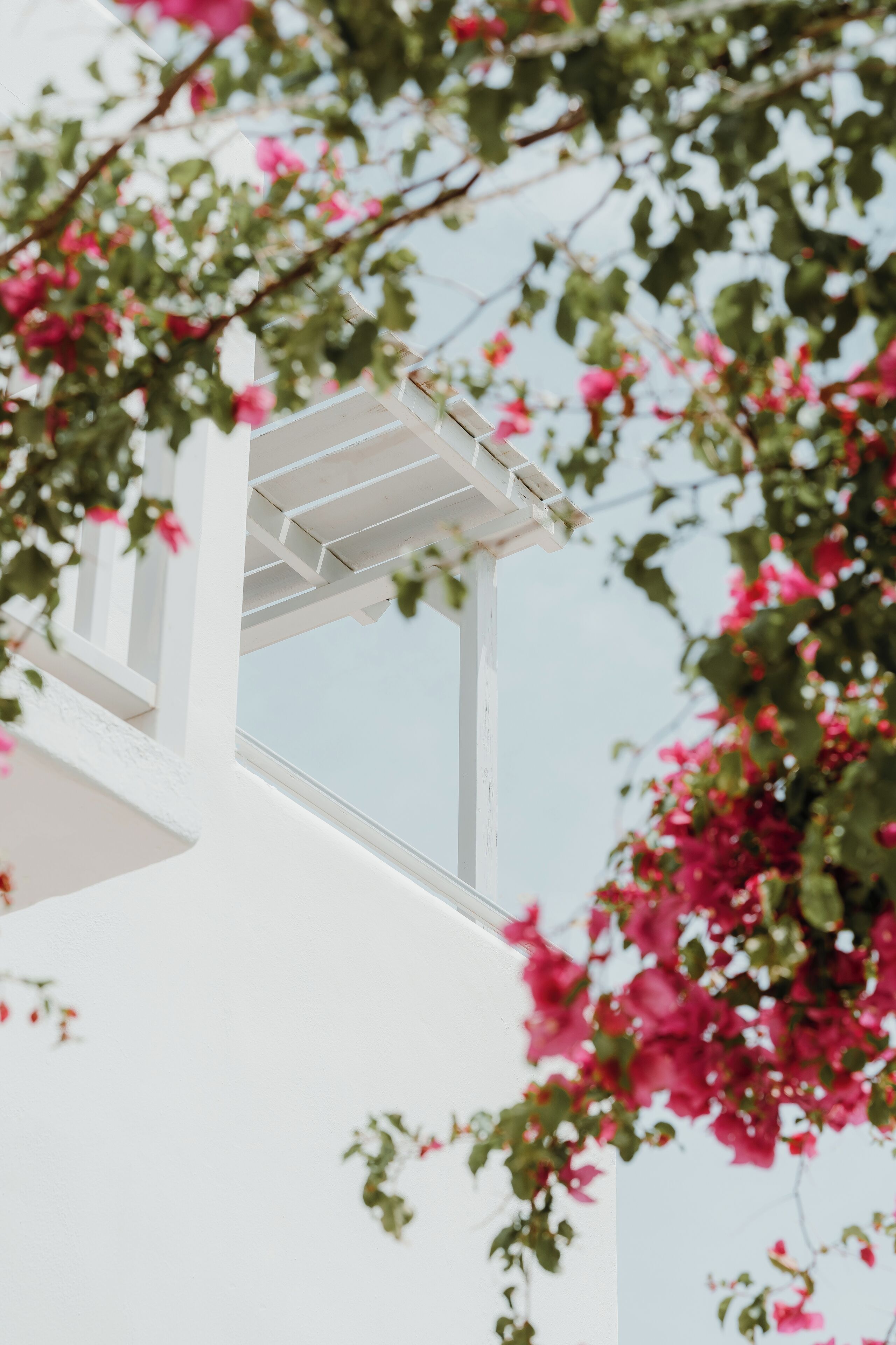 Photo - Mr and Mrs White Paros