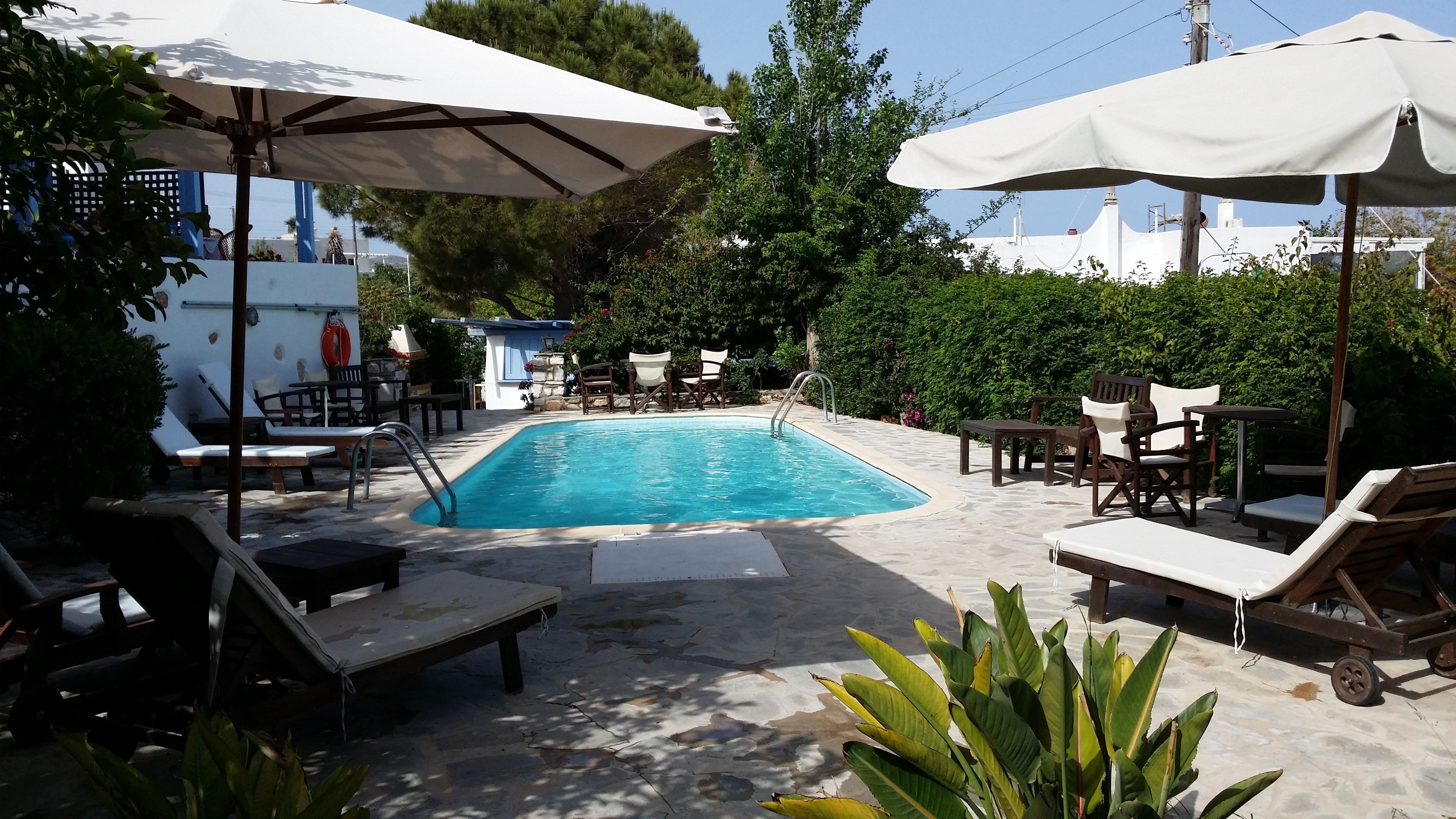 Outdoor pool, pool umbrellas, pool loungers