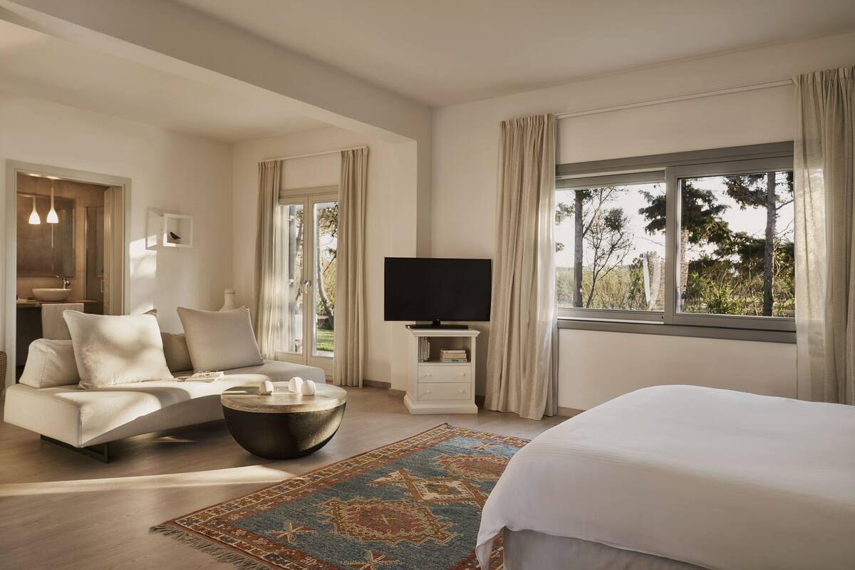 Une chambre d’hôtel moderne, dotée d’un canapé, d’un grand lit, d’une télévision à écran plat et offrant une vue sur les arbres par la fenêtre.