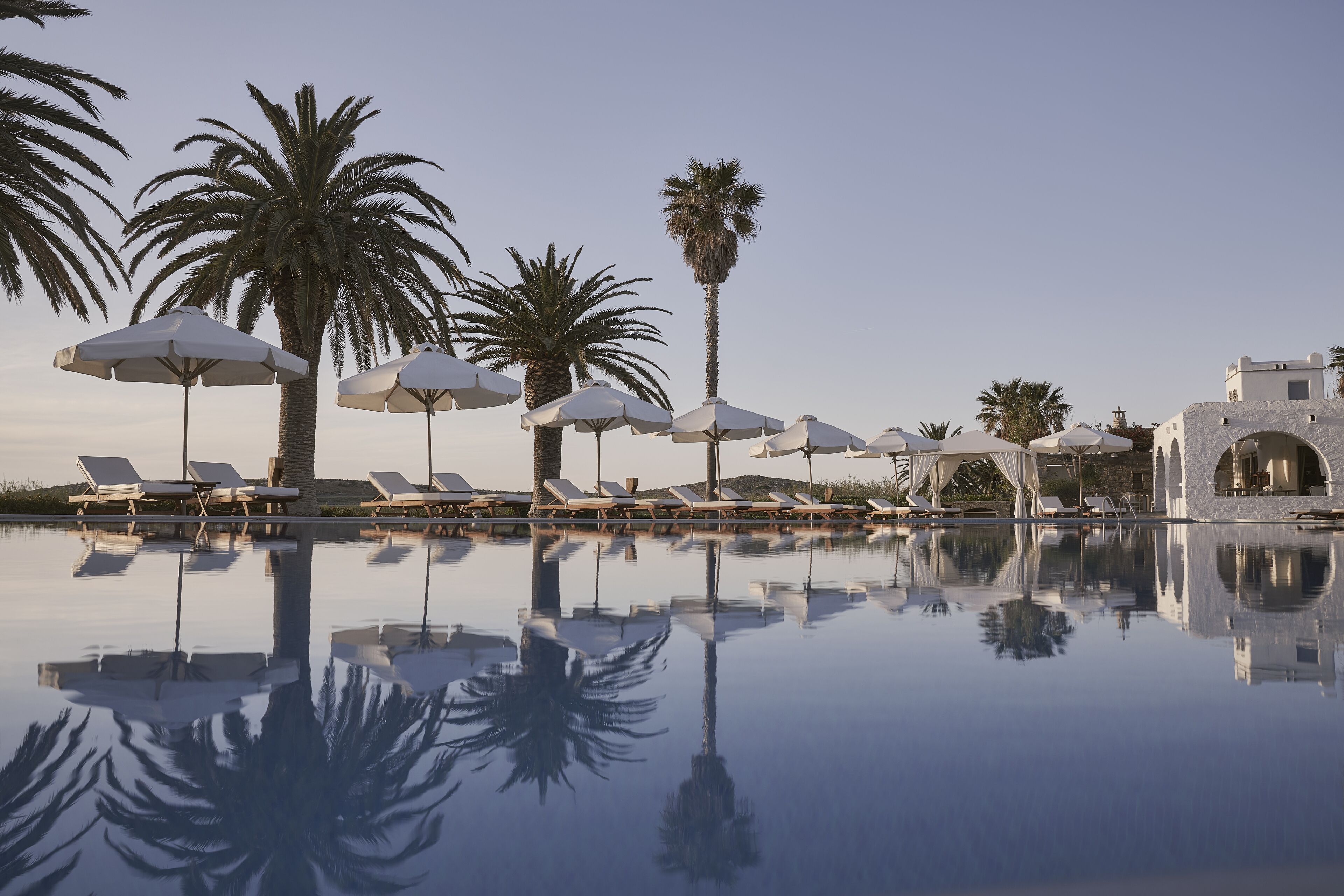 Zona de piscina con sillones de descanso y sombrillas, palmeras y cielo despejado.