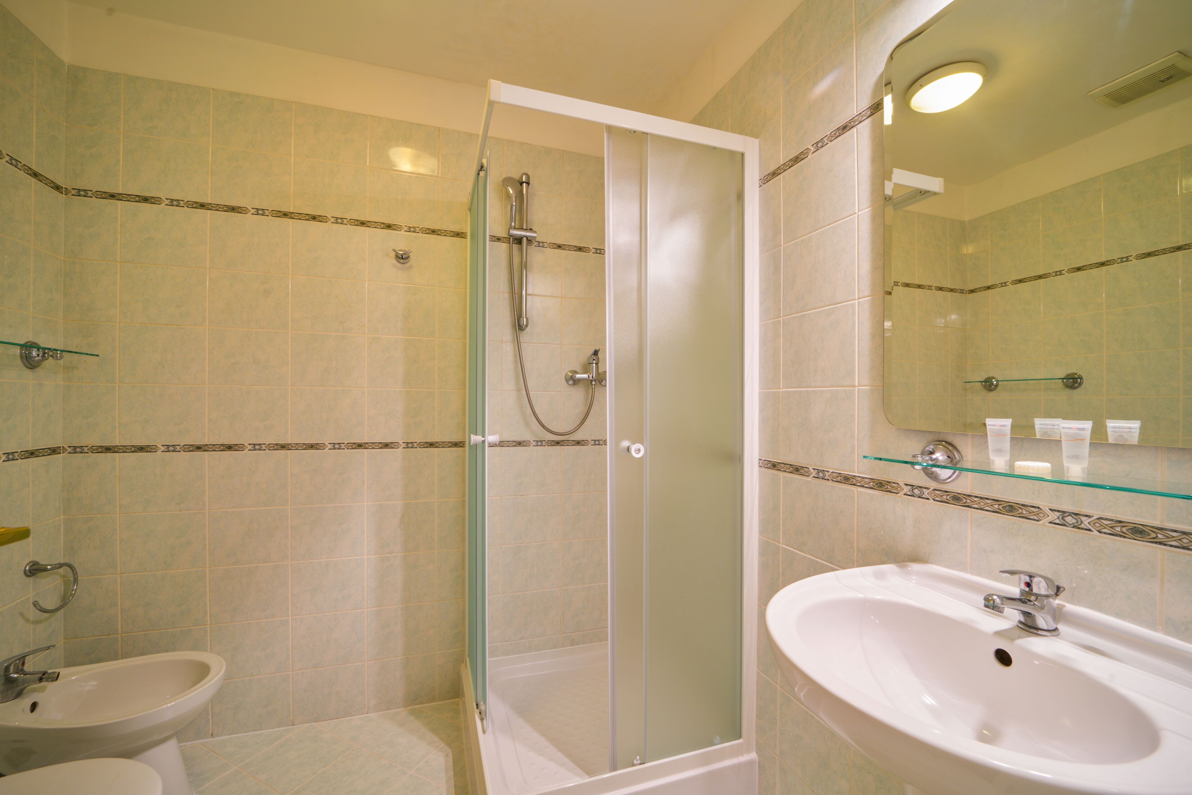 hair dryer, towels, soap, shampoo