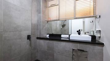 Een moderne badkamer met een douche, wastafel en spiegel.