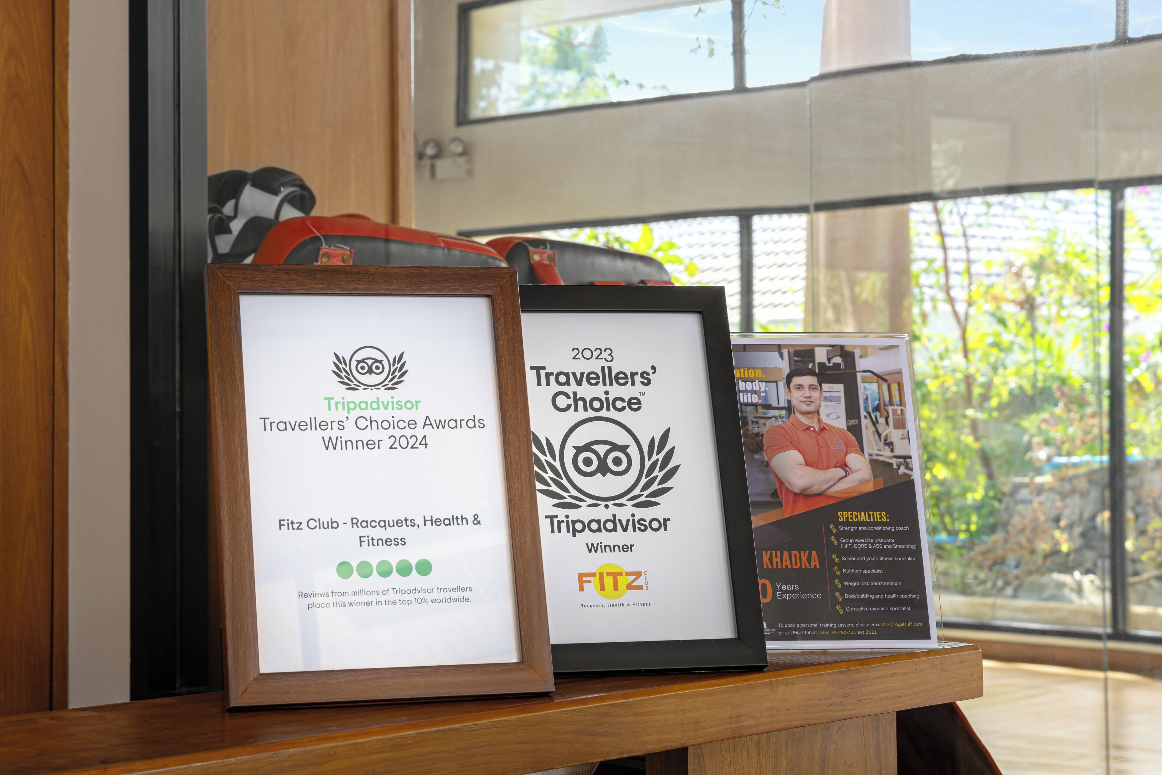 Two framed awards on a wooden shelf with a window view in the background.