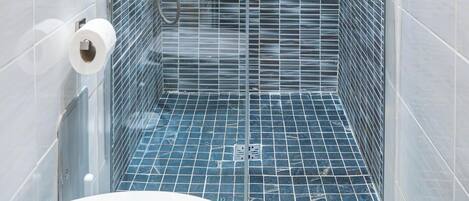 A shower with a glass door, a handheld showerhead, and a roll of toilet paper on the wall.