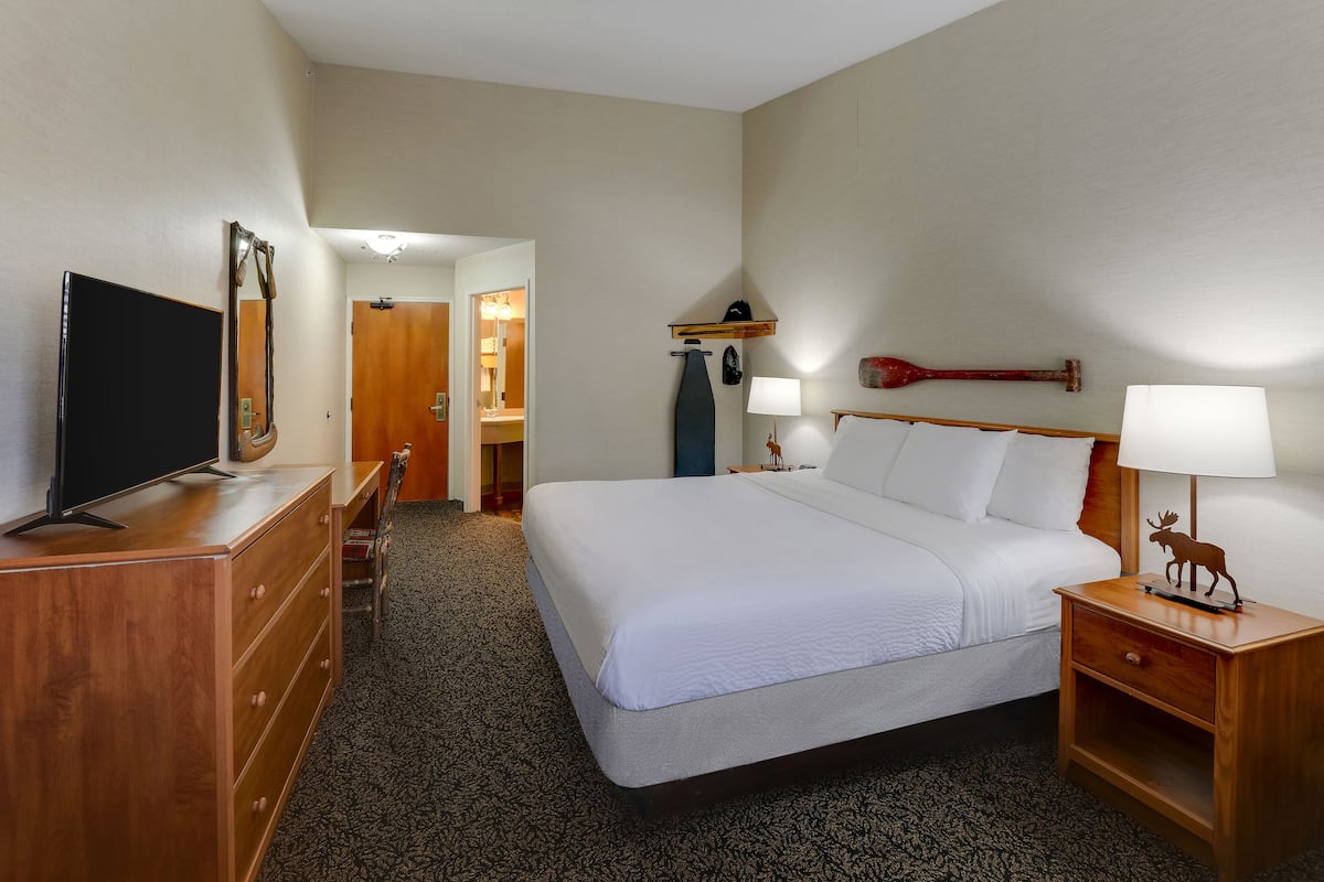 standard room, 1 king bed, non smoking | desk, iron/ironing board, free wifi, bed sheets