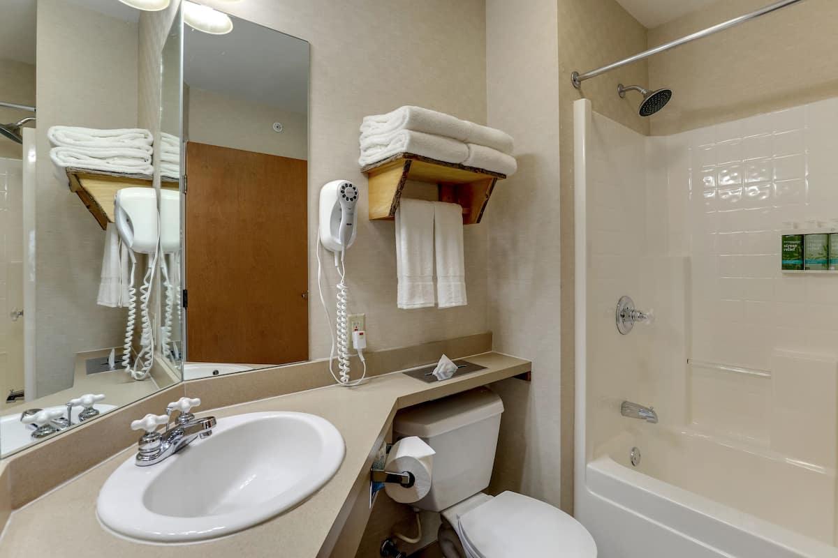 free toiletries, hair dryer, towels