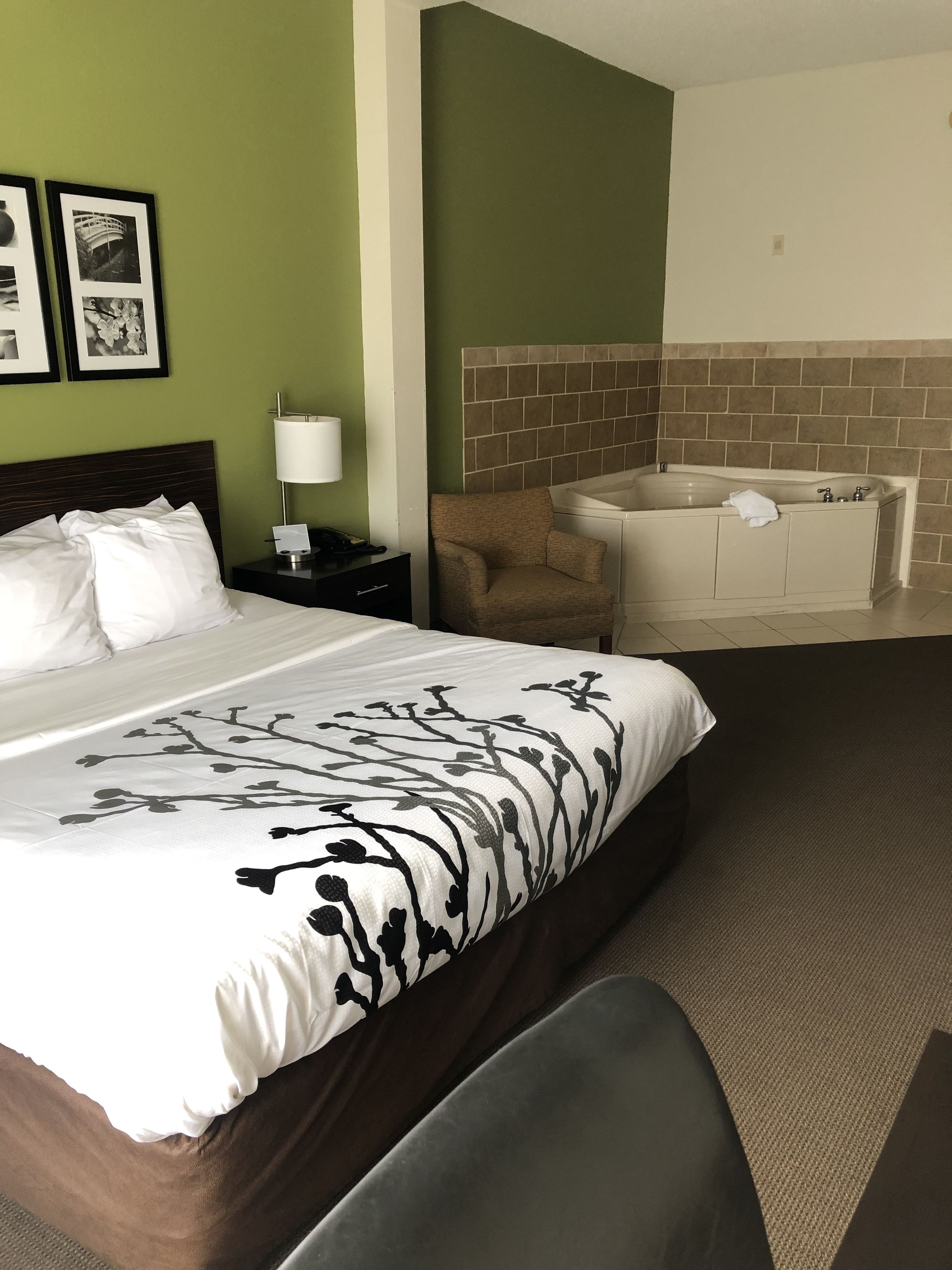 business room, 1 king bed, non smoking | premium bedding, desk, blackout curtains, iron/ironing board