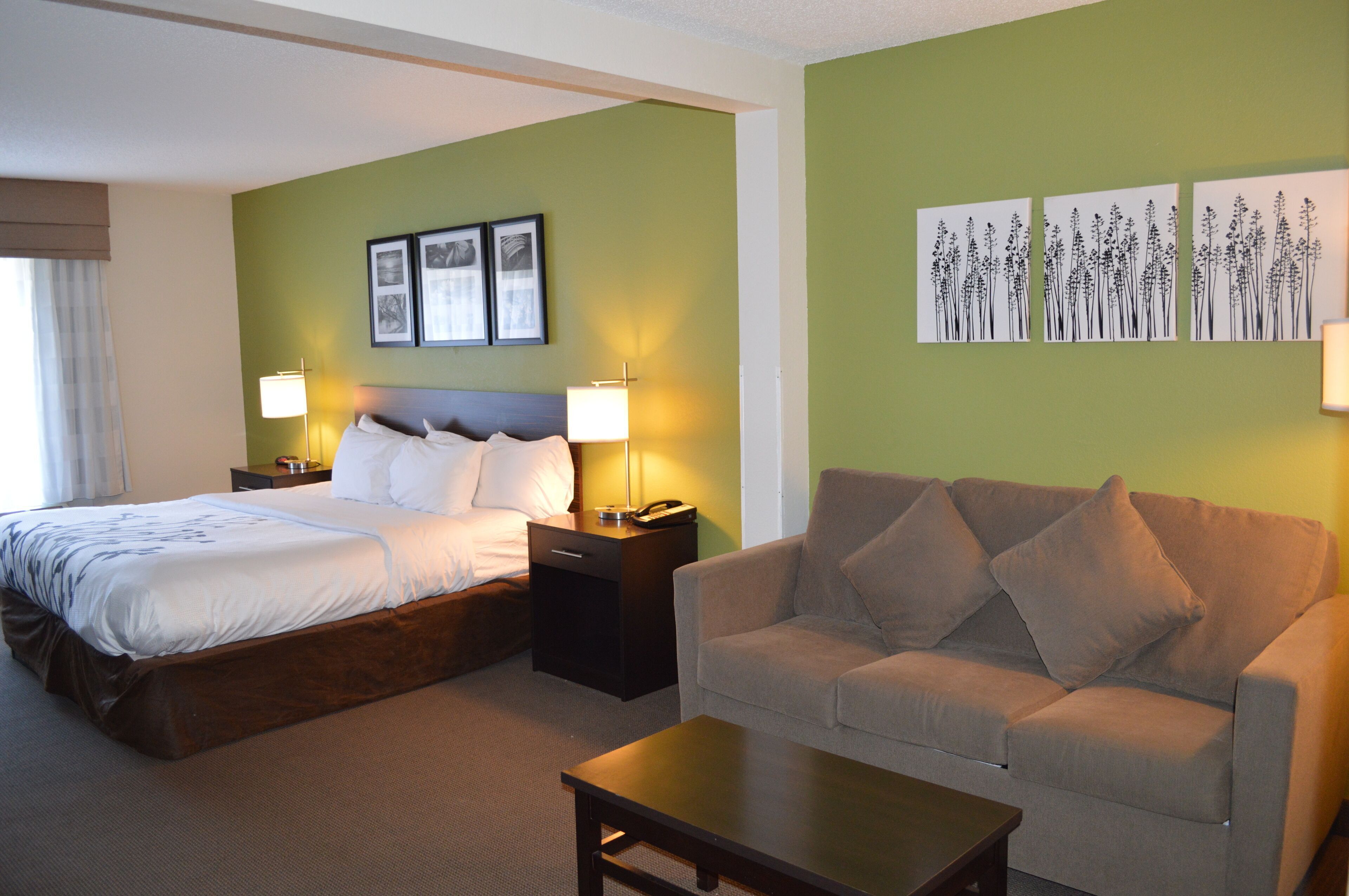 Premium bedding, desk, blackout drapes, iron/ironing board
