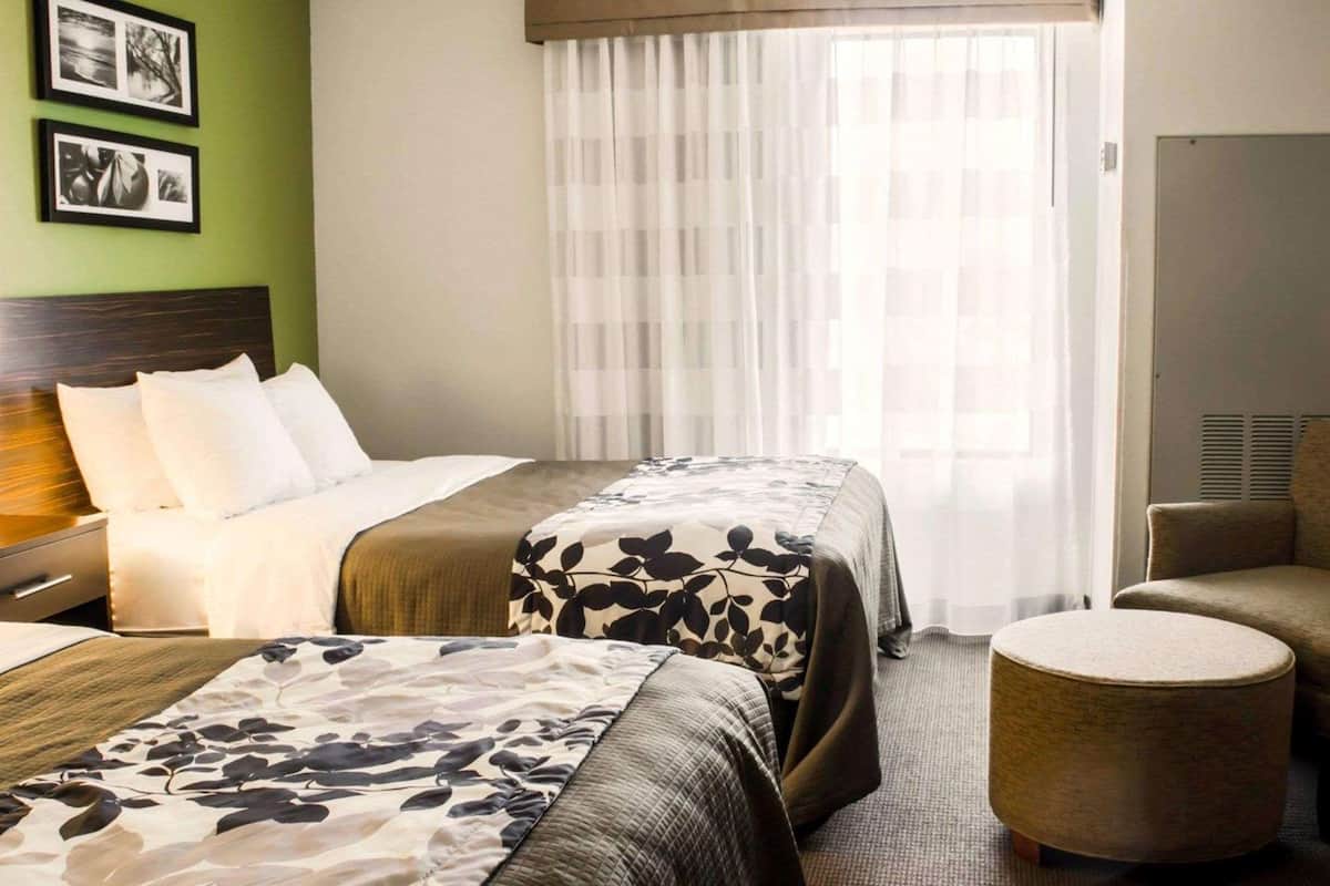 A hotel room with two beds, a large window with sheer curtains, a green wall with framed pictures, and a small round table.