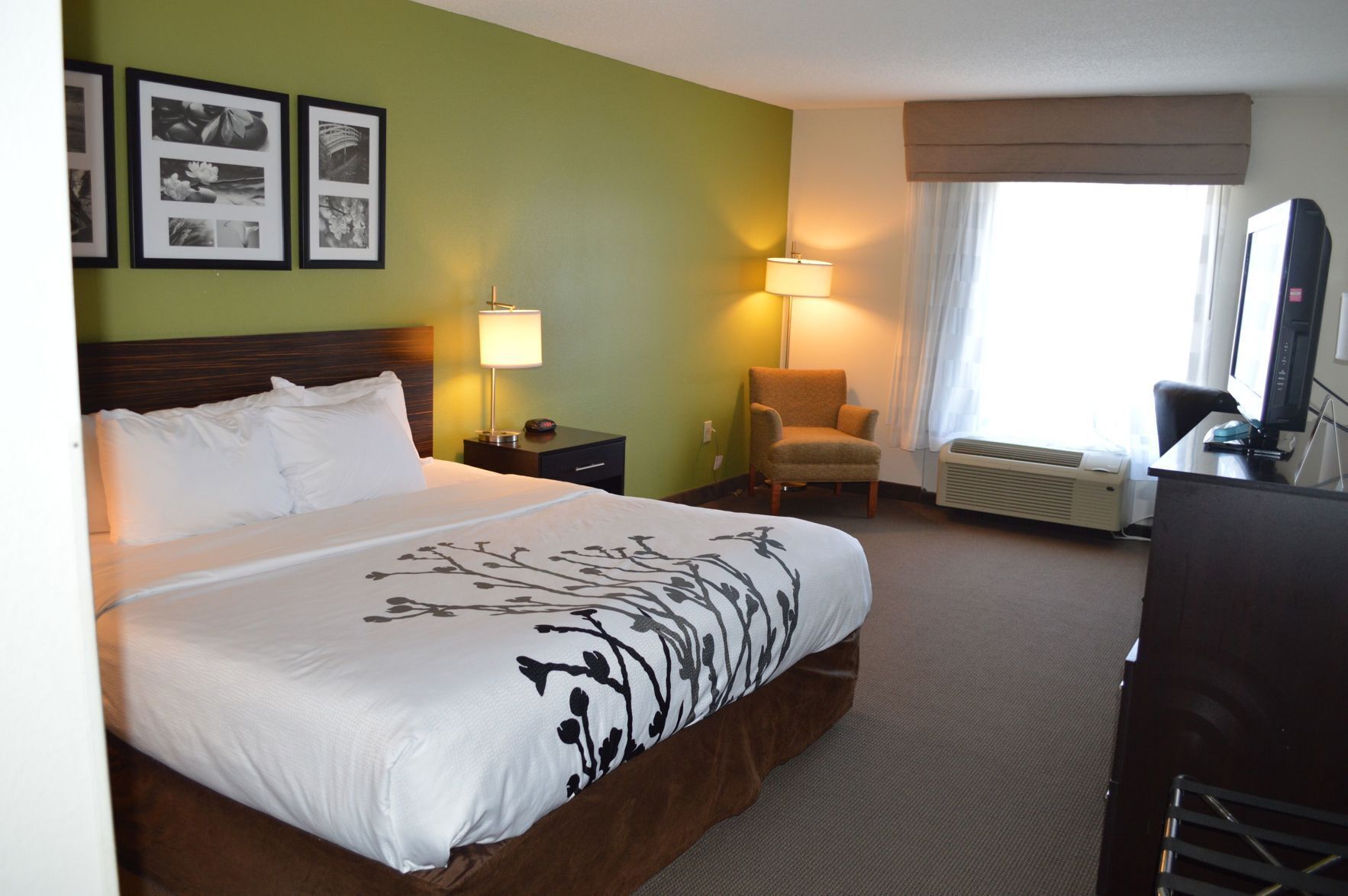 Premium bedding, desk, blackout drapes, iron/ironing board