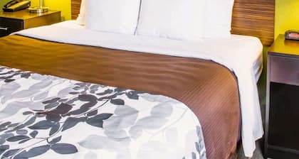 Sleep Inn & Suites Virginia Horse Center
