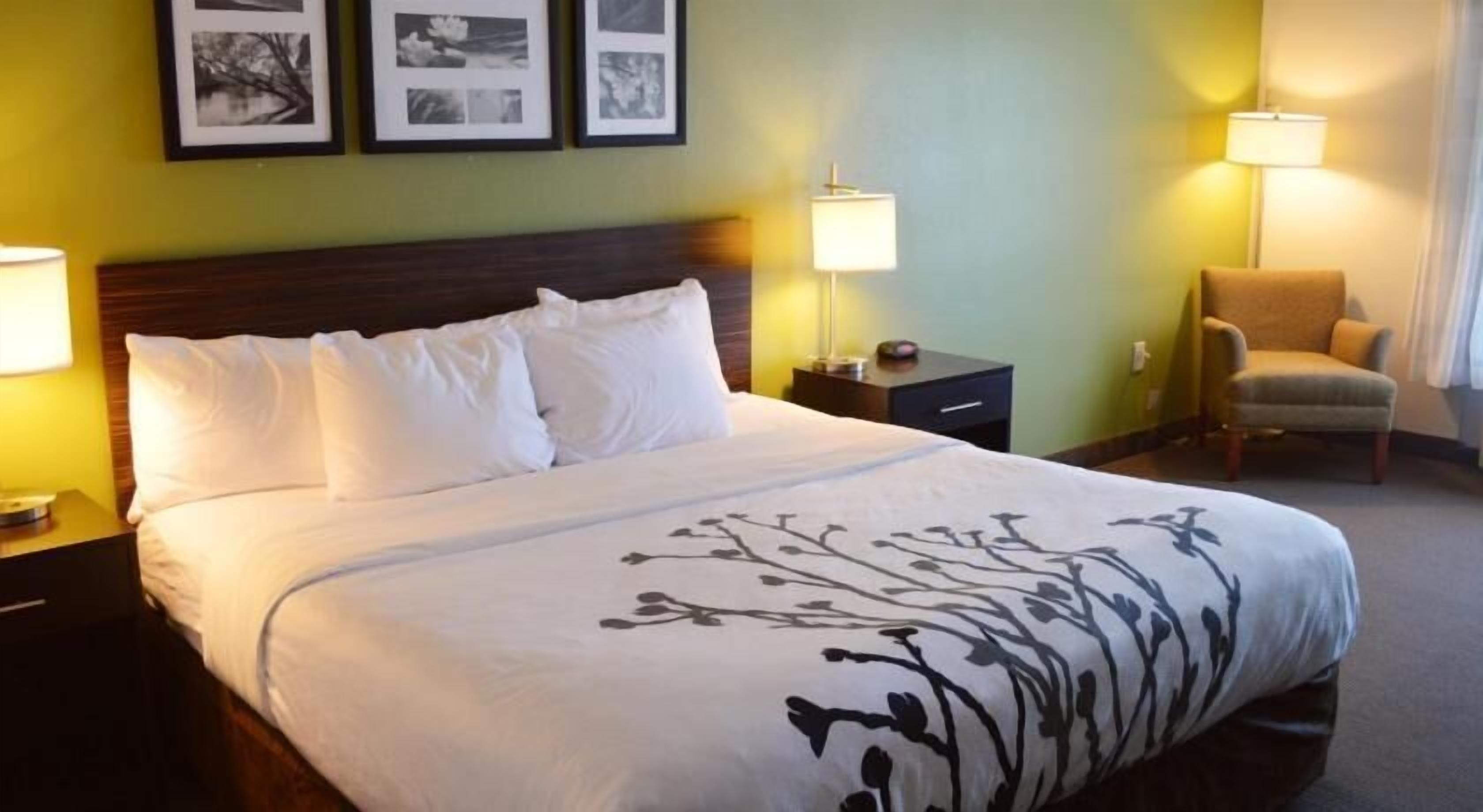 Premium bedding, desk, blackout drapes, iron/ironing board