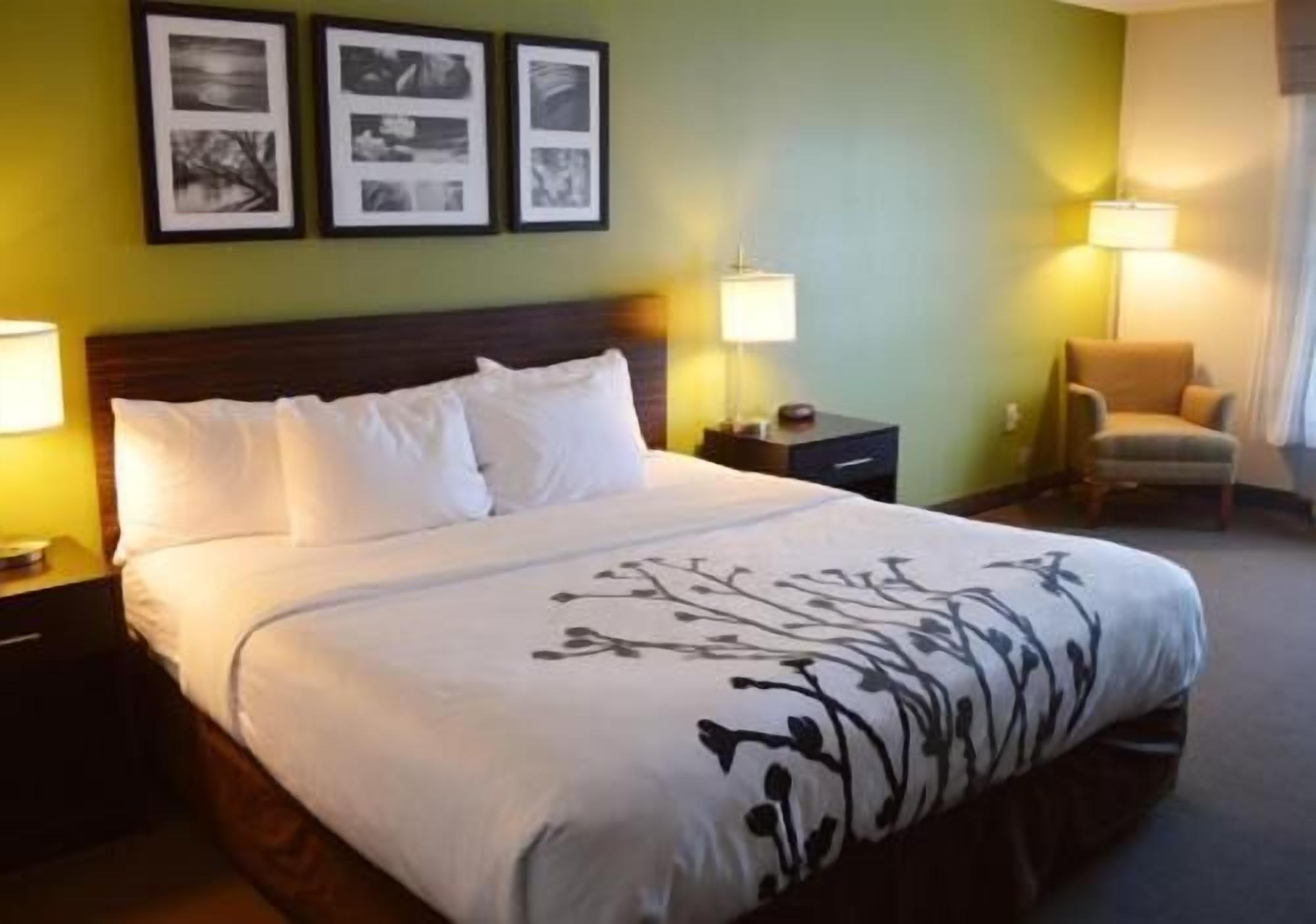 Premium bedding, desk, blackout drapes, iron/ironing board