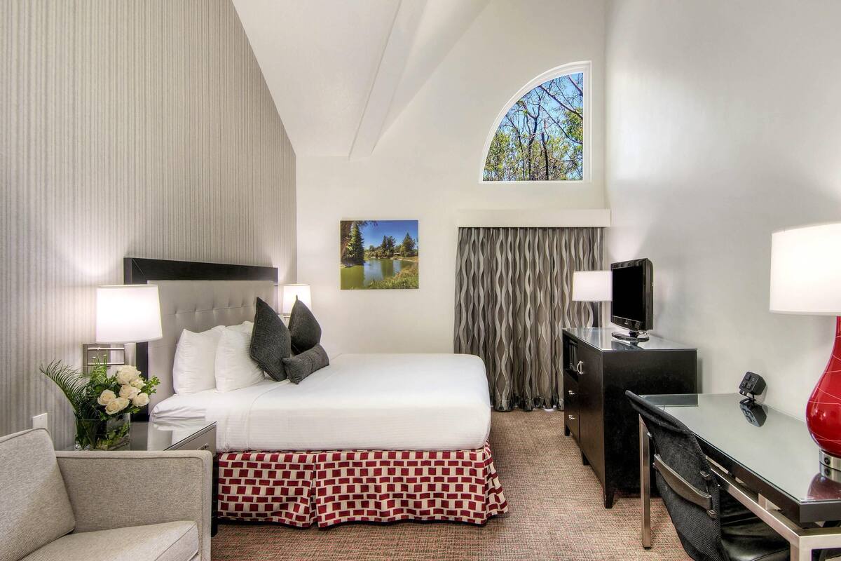 A hotel room with a bed, a desk, a chair, a TV, and a window with a view of trees.