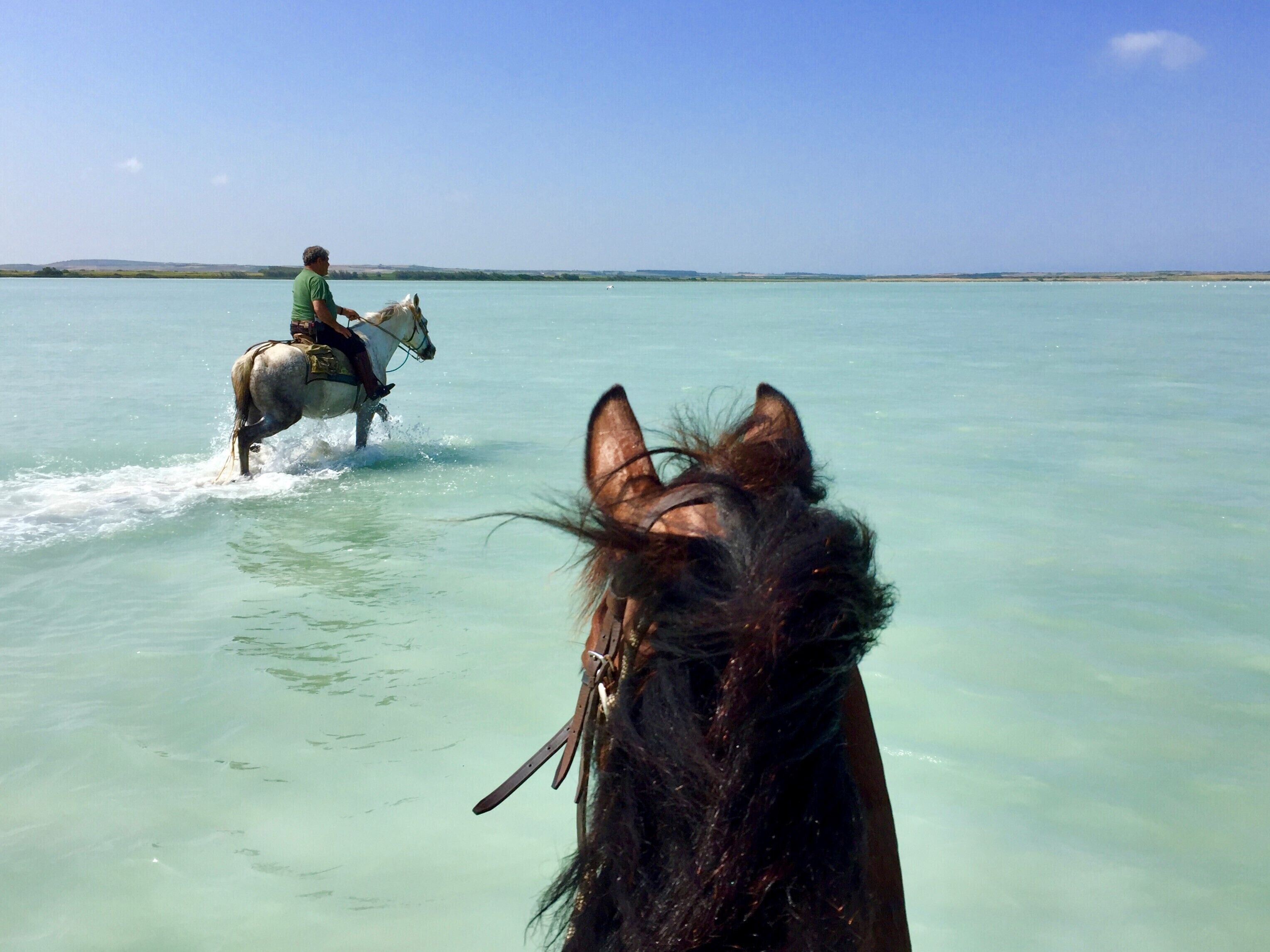 Foto - Horse Country Resort Congress & Spa - Hotel Castello