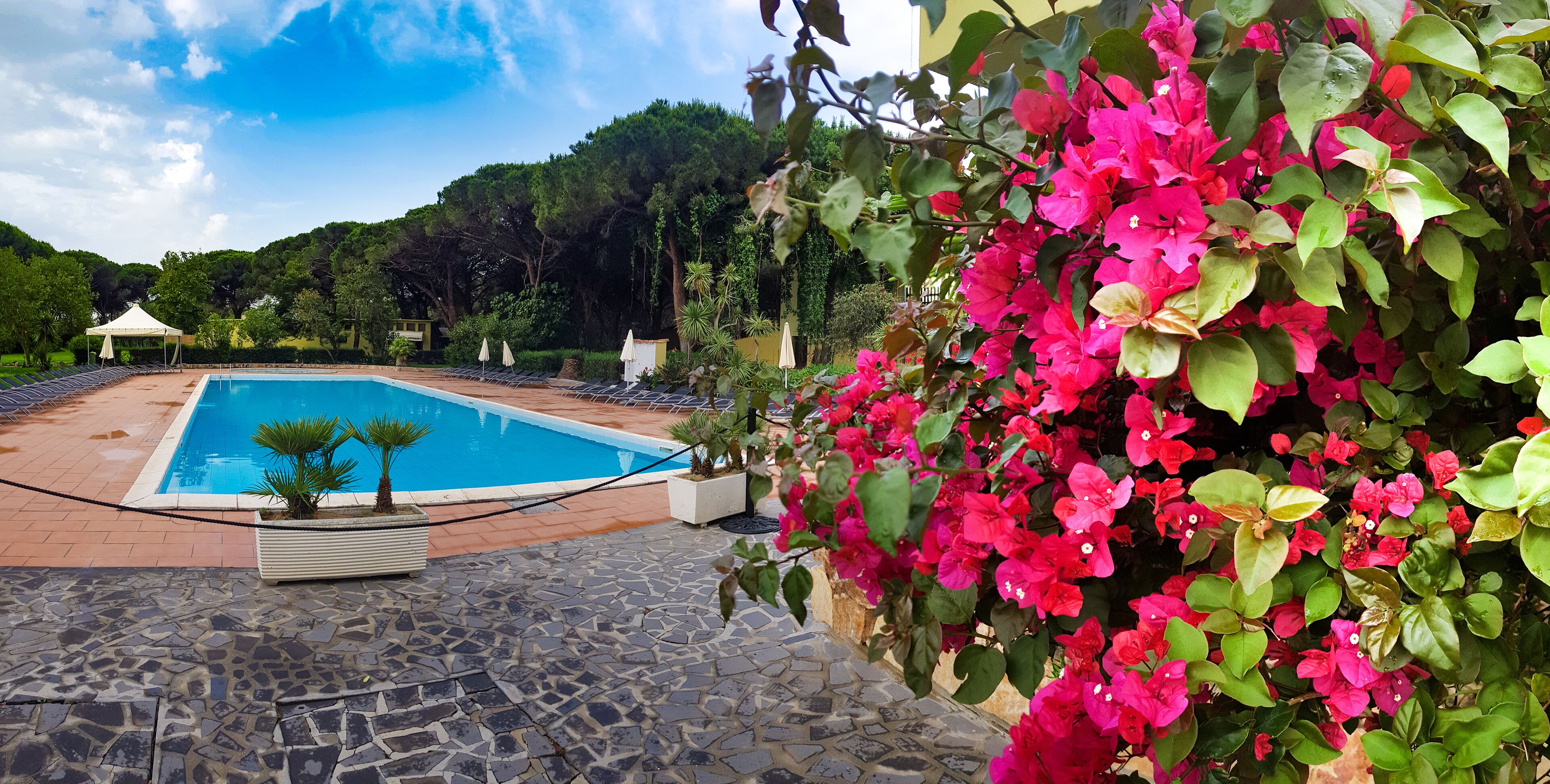 Una piscina con bordo piastrellato, circondata da vegetazione lussureggiante e fiori di bouganvillea colorati.