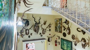 A staircase with ornate metal railings and a wall adorned with various animal skulls. - City Hotel Unio Superior (Budapest)
