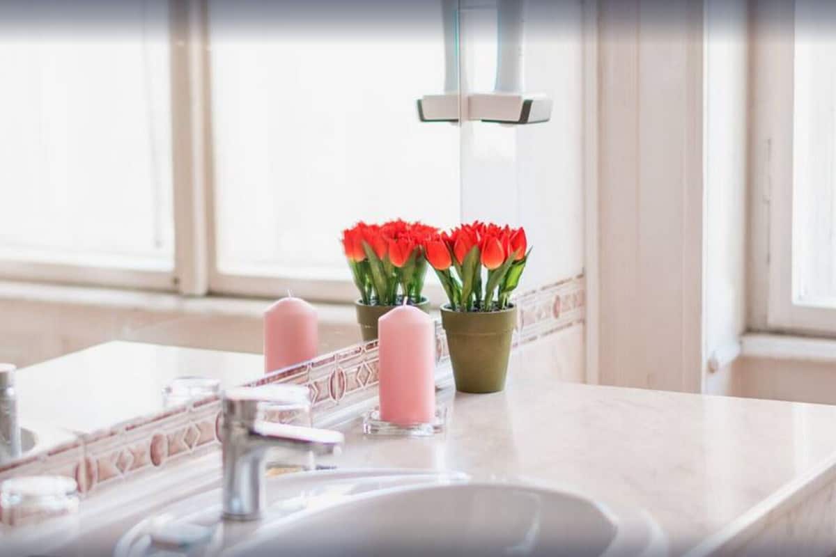 A bathroom with a sink, mirror, and potted plants.